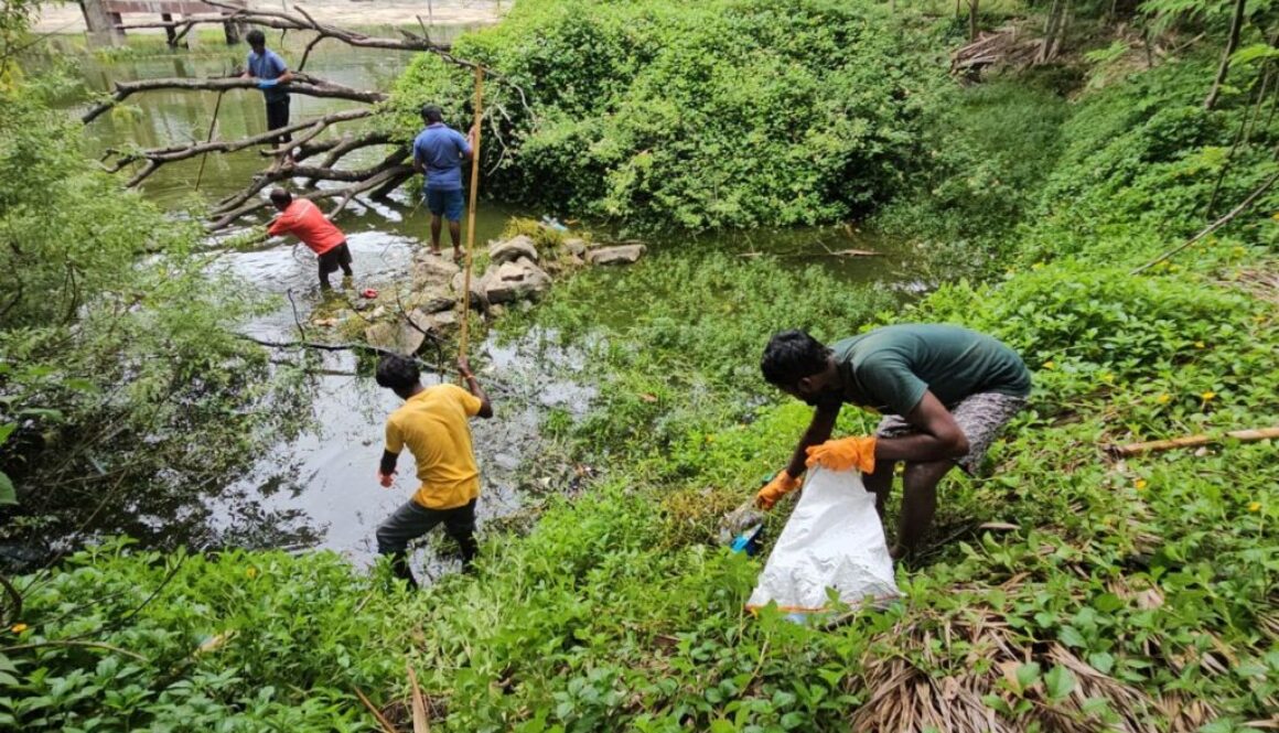 Anne Park Cleaning and Pond Restoration