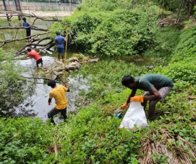 Anne Park Cleaning and Pond Restoration