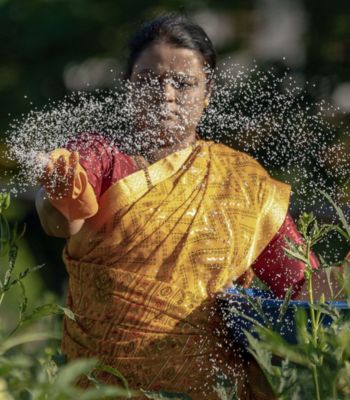 Sustainable Agriculture_1